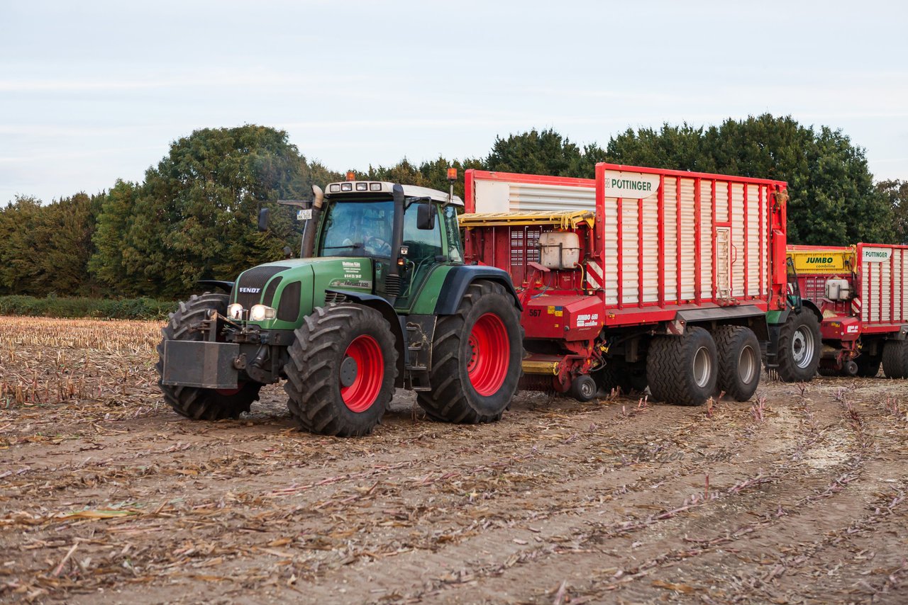 Bild 176 - Maisernte 2016